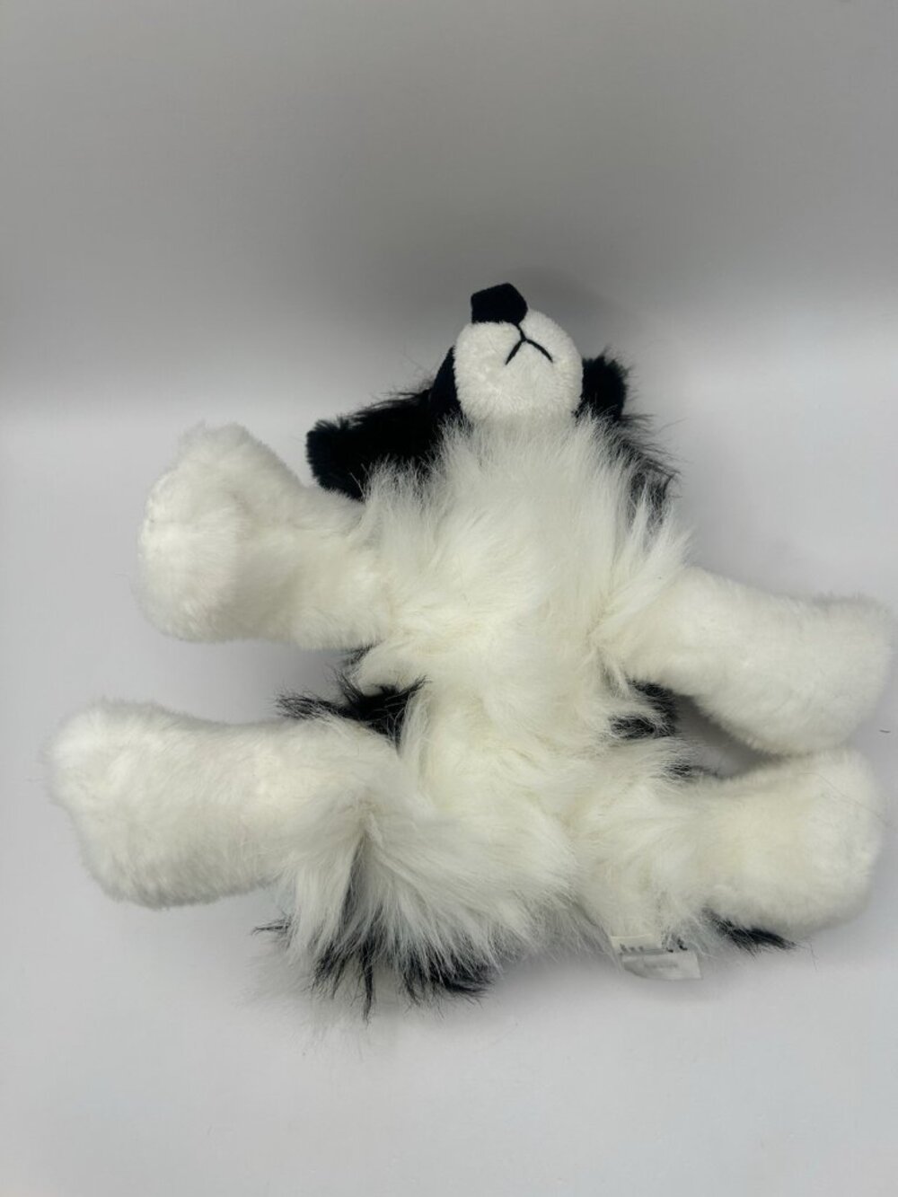 Ganz Webkinz Border Collie Plush Dog Black White HM413 NO CODE - Rare!! - Picture 15 of 16